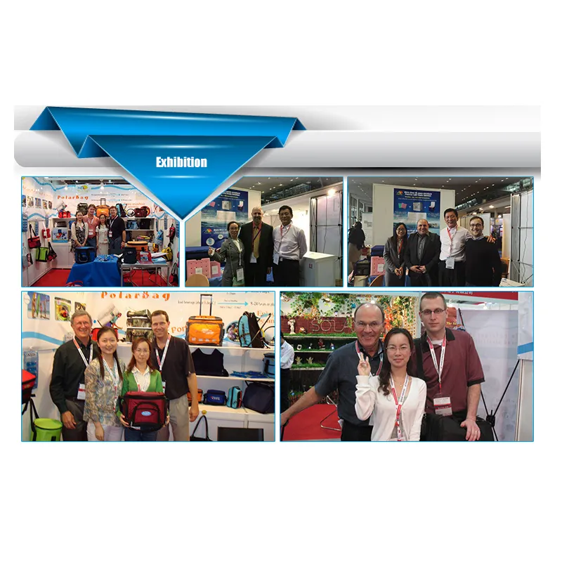 Custom Outdoor Mini Capacity 600d Waterproof Picnic Insulated Lunch Cooler Bag