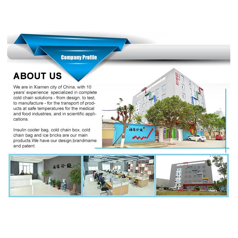 Custom Outdoor Mini Capacity 600d Waterproof Picnic Insulated Lunch Cooler Bag