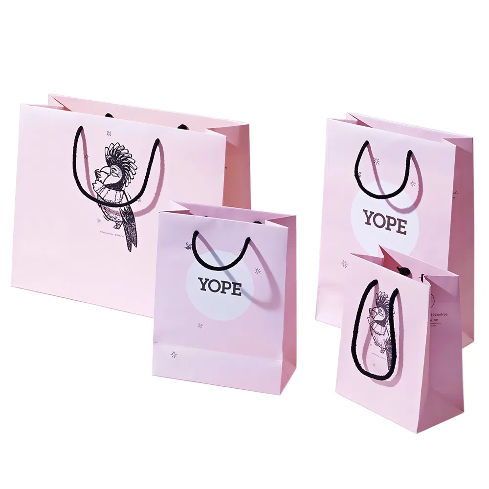 Customized Shopping Bags Paper Twisted Carrier Paper Color Recycle Handle Bag