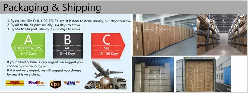 Fashion Crocodile Print Durable Present Gift Box Case for Bracelet Bangle Jewelry Watch Box