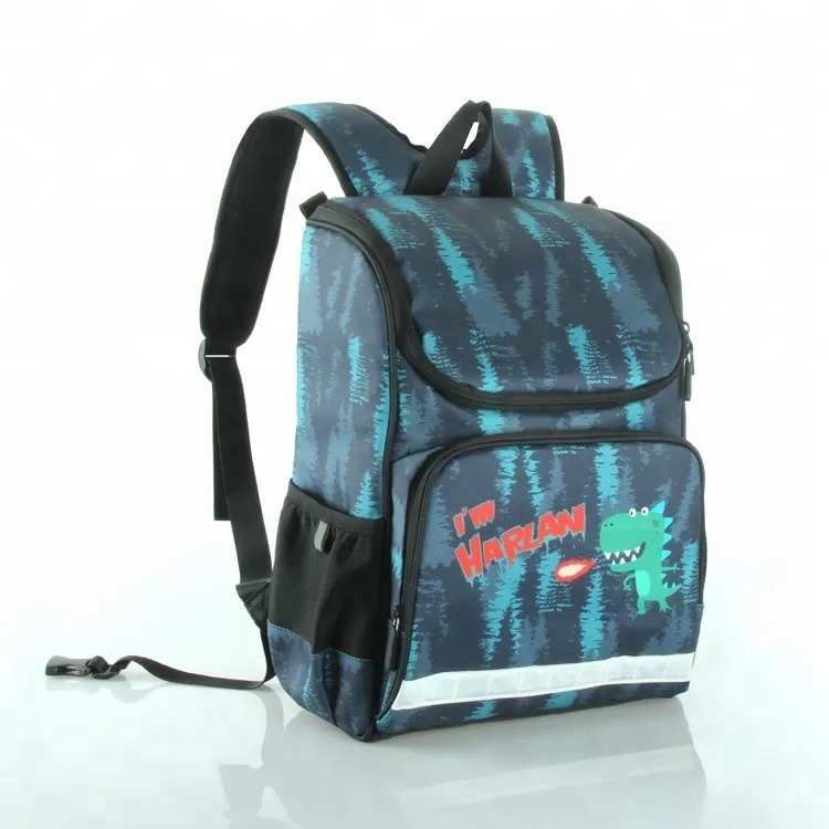 High End Functional Pupil Boys Girls School Bags with Lunch Bags