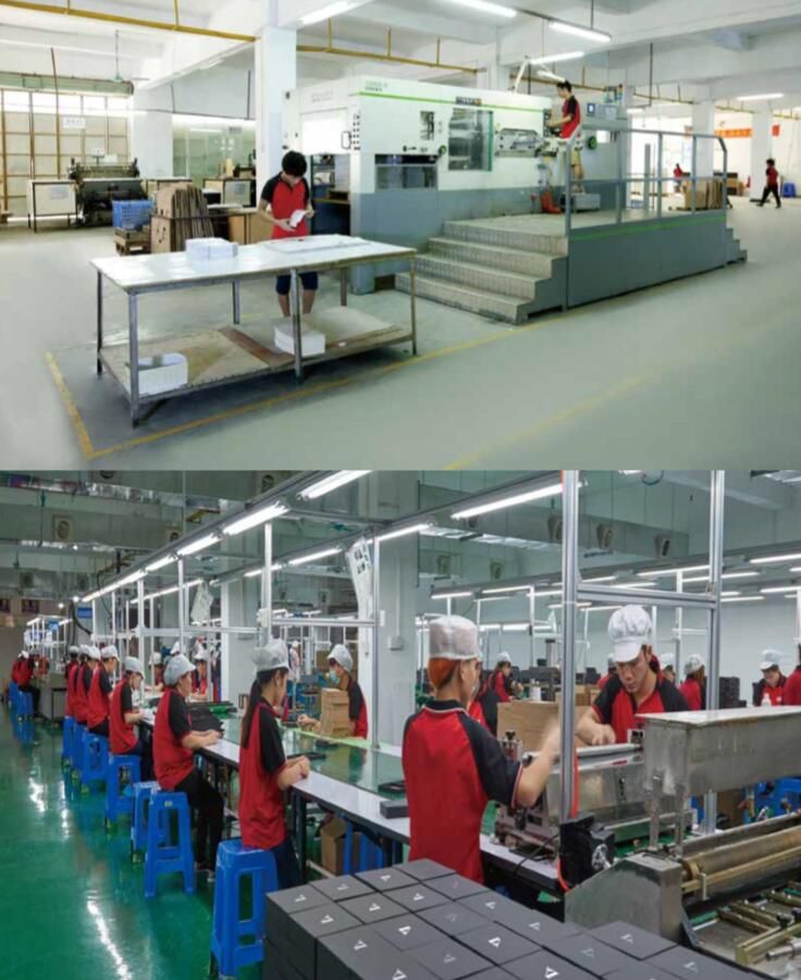 Hingen Lid Box Style Magnetic Closure Cardboard Box for Health Products Packaging Box