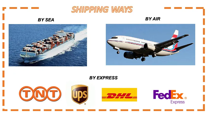 Portable Eyeshadow Box with Fancy Design