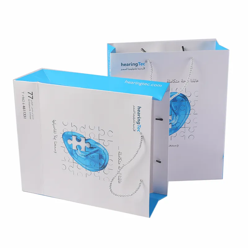 Recycled Customized White Cardboard with Fancy Color Printing Paper Bag for Goods Packaging with Handle