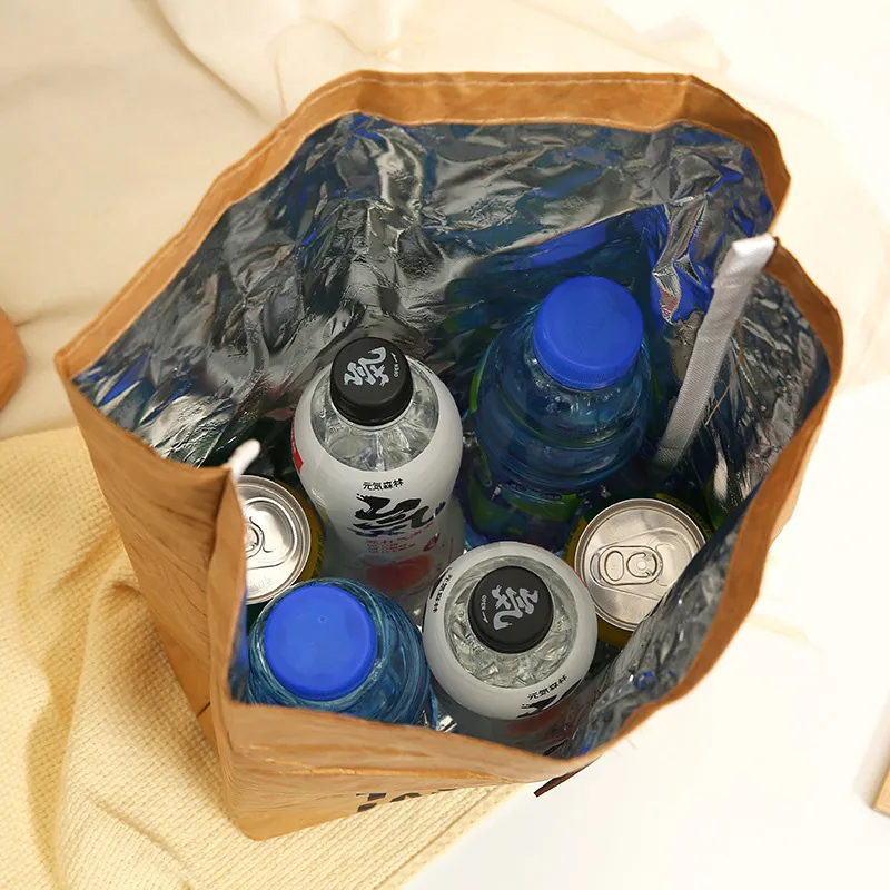 Wholesale Custom DuPont Design Tyvek Brown Kraft Paper Waterproof Insulated Lunch Cooler Bag