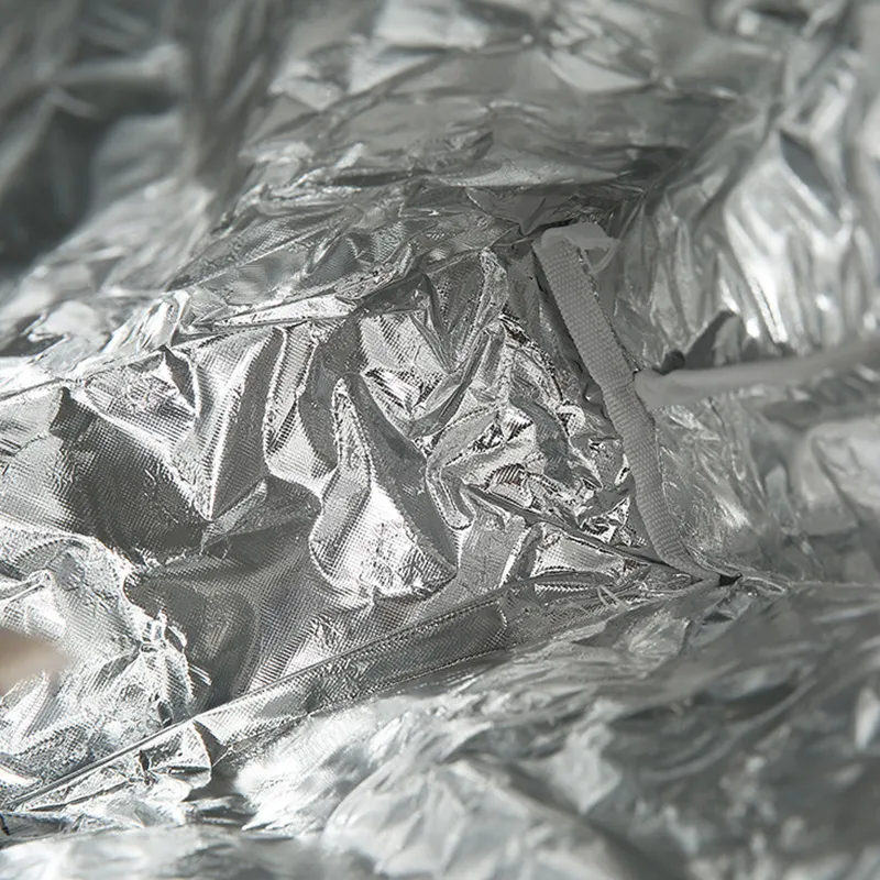 Wholesale Custom DuPont Design Tyvek Brown Kraft Paper Waterproof Insulated Lunch Cooler Bag