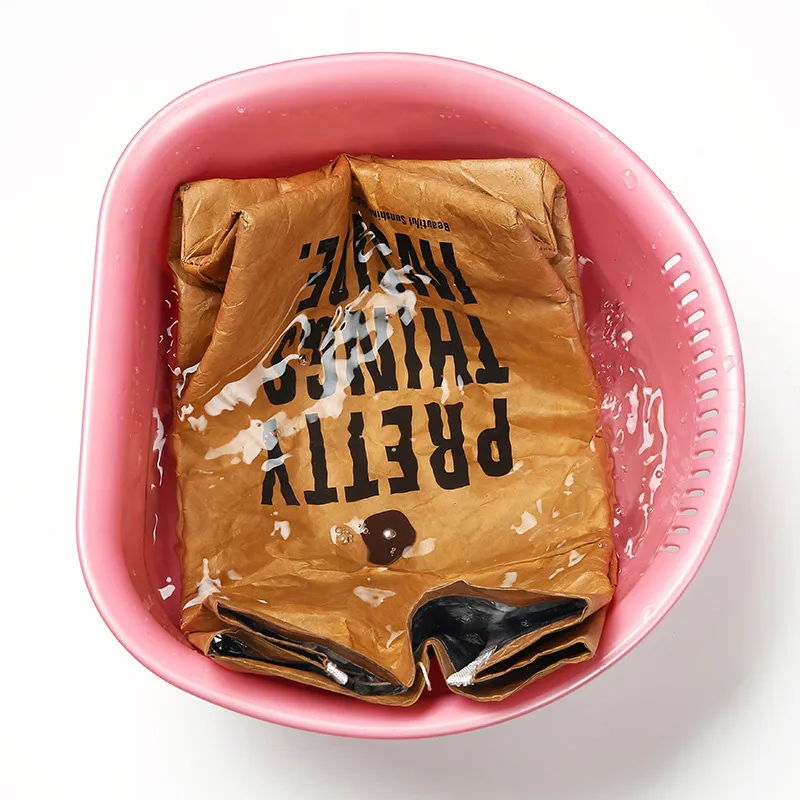 Wholesale Custom DuPont Design Tyvek Brown Kraft Paper Waterproof Insulated Lunch Cooler Bag