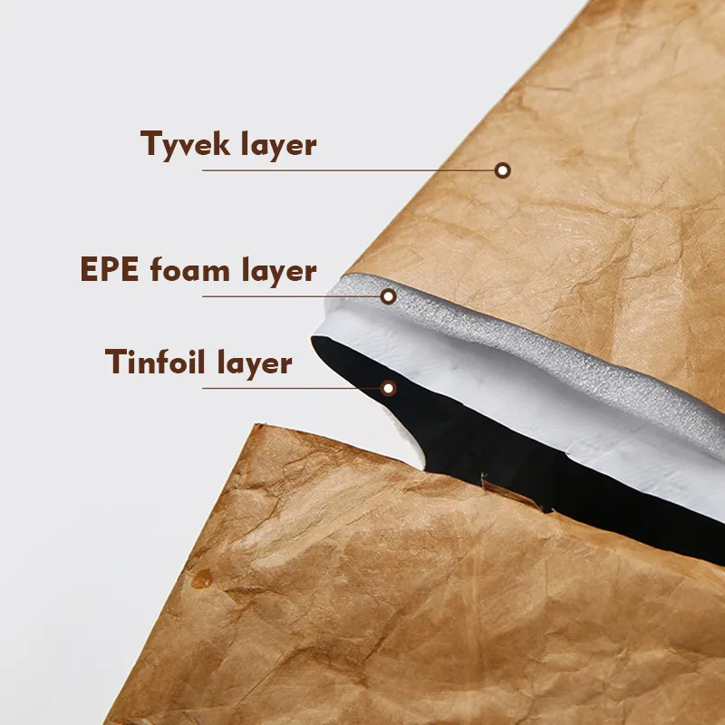 Wholesale Custom DuPont Design Tyvek Brown Kraft Paper Waterproof Insulated Lunch Cooler Bag